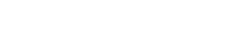 vip nomads logo